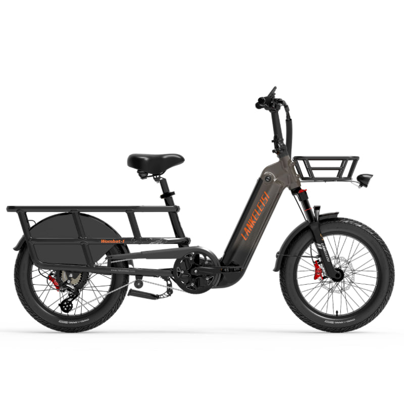 LANKELEISI Wombat-1 1000W long-range cargo electric bike with sturdy frame, large tires, and handlebar controls for versatile riding.