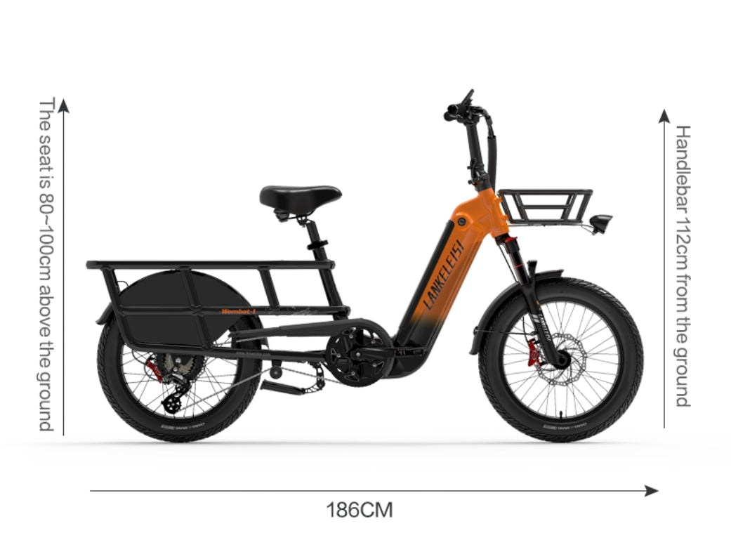 LANKELEISI Wombat-1 1000W long-range cargo electric bike with sturdy frame and fat tires, designed for hauling and off-road riding.